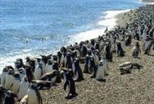 Full Day Tombo with Valley